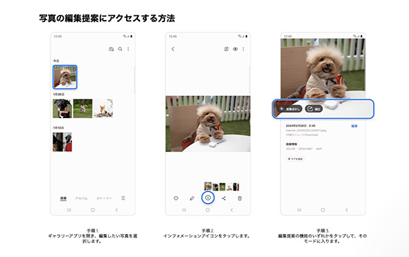 公式Webサイトに記載された「写真の編集提案にアクセスする方法」（出典：<a href=