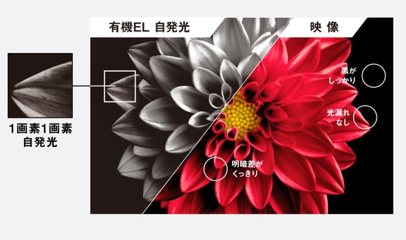 フォト