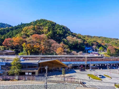 「2024年に『登られた山』ランキング」を紹介！