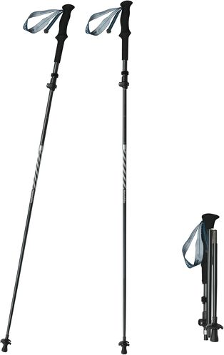 ネイチャーハイク トレッキングポール 折りたたみ式 2本セット Proタイプ