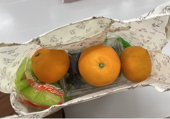 ちょっとした買い物くらいにちょうど良いサイズ