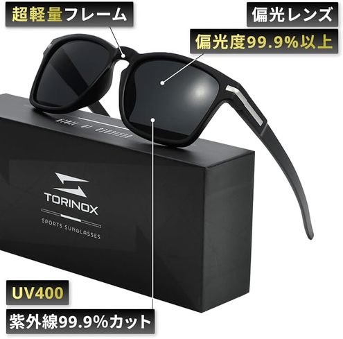 今売れている運転用サングラス:TORINOX「ARQ BASIC MODEL」