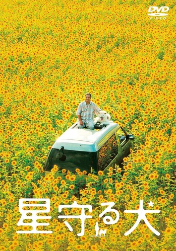 フォト