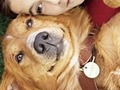 「涙なしには見られない！」映画ライターがおすすめする「泣ける犬映画」3選【2025年6月版】