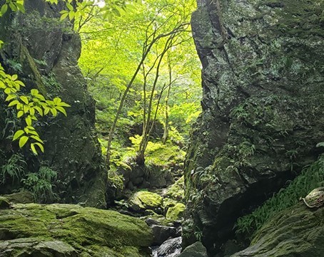 棒ノ折山