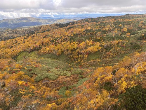 美しい紅葉を見に登山をしよう