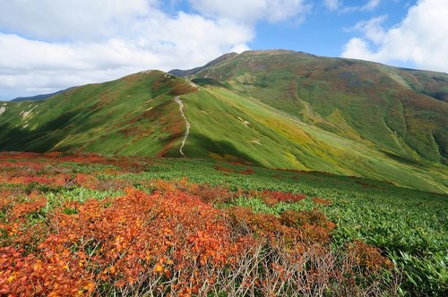 月山