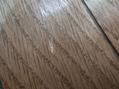 小さな傷を補修してみた