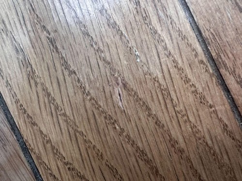 近くで見ると傷はわかる