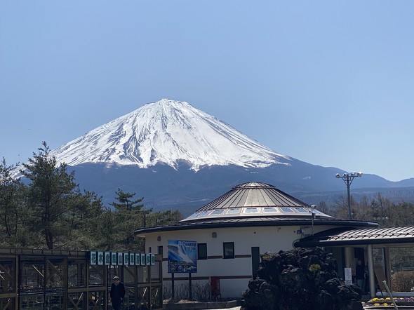 フォト