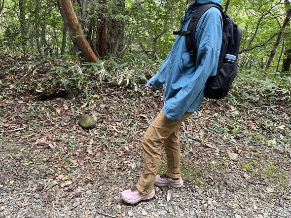 フォト