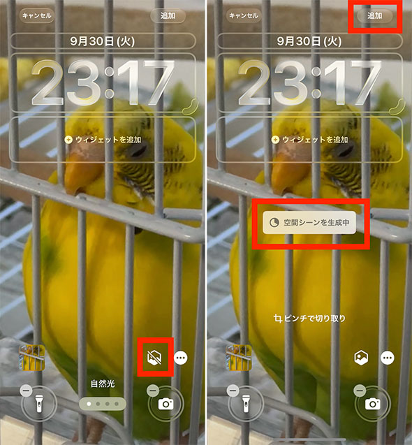 写真