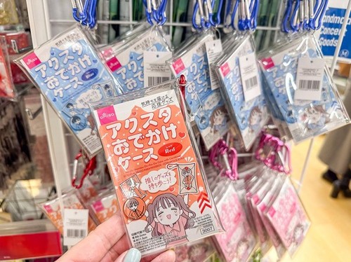 アクスタを持ち歩けるケース（著者撮影）