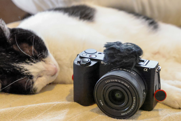 写真