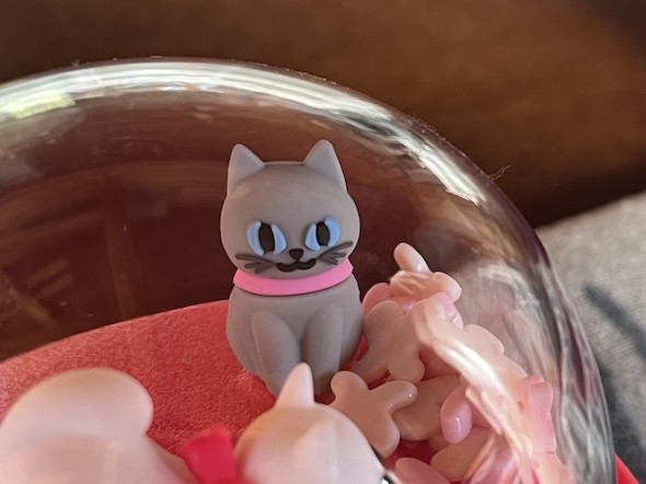 フォト