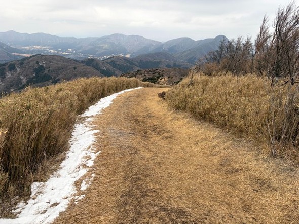 視界が開けている。奥に見えるのが金時山