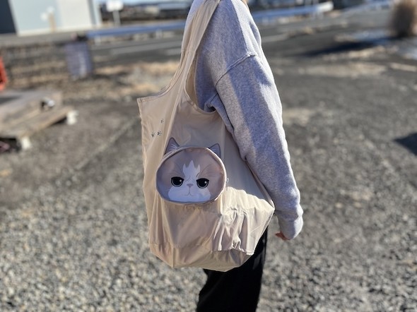 フォト