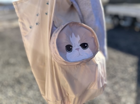 フォト