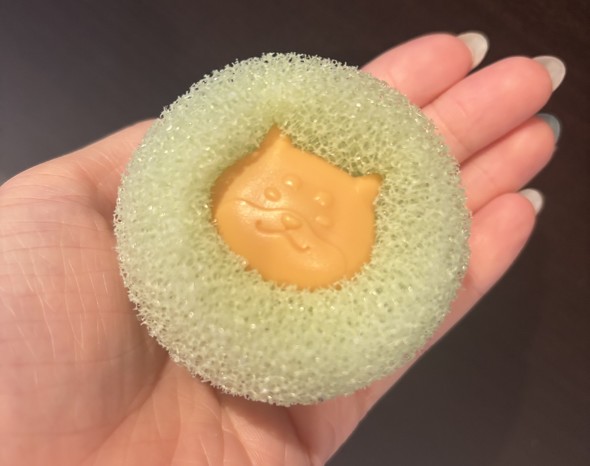 フォト