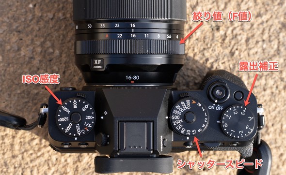 写真