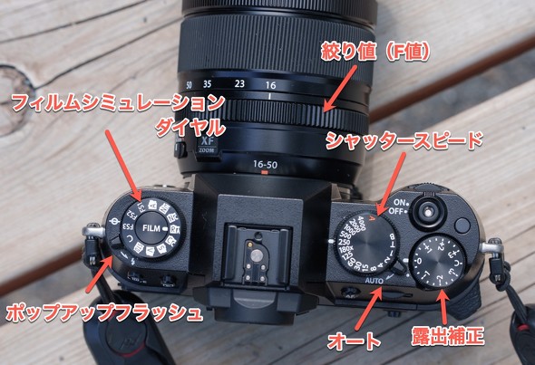 写真