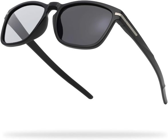 偏光サングラス：TORINOX「ARQ BASIC MODEL」