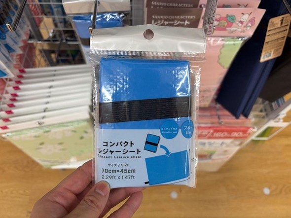 荷物置きや少人数でのピクニックに何かと使える