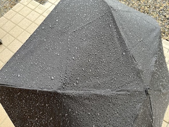 フォト