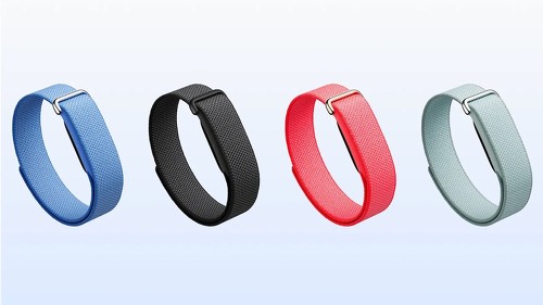 Google Fitbit Air（パフォーマンスループバンド）