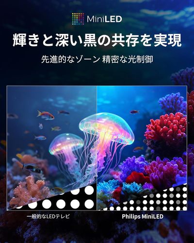 フォト