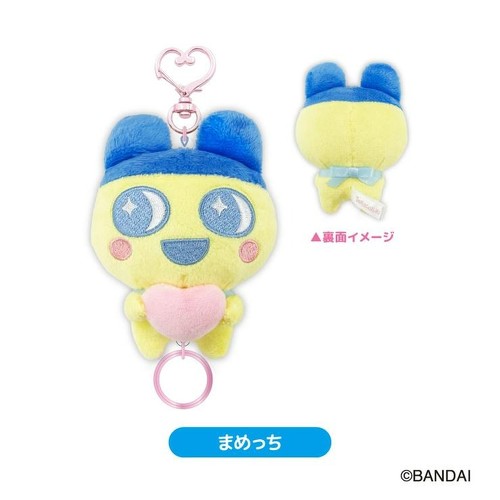 フォト