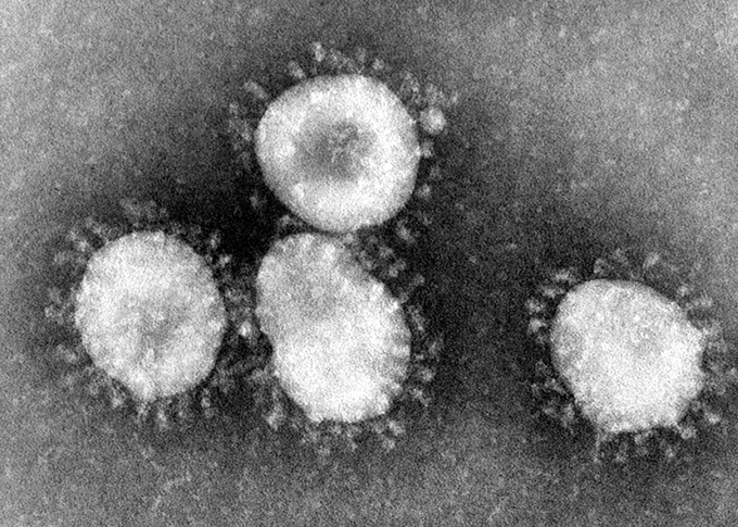 「新型コロナウイルス covid 19」の画像検索結果