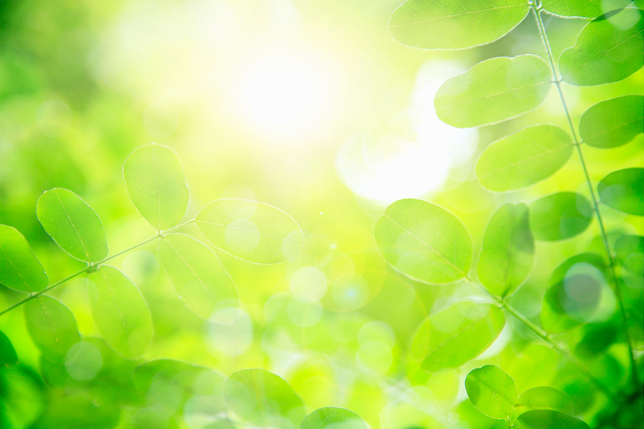 目が疲れた時に緑色のものを見るといいってホント 医師が回答 ねとらぼ調査隊