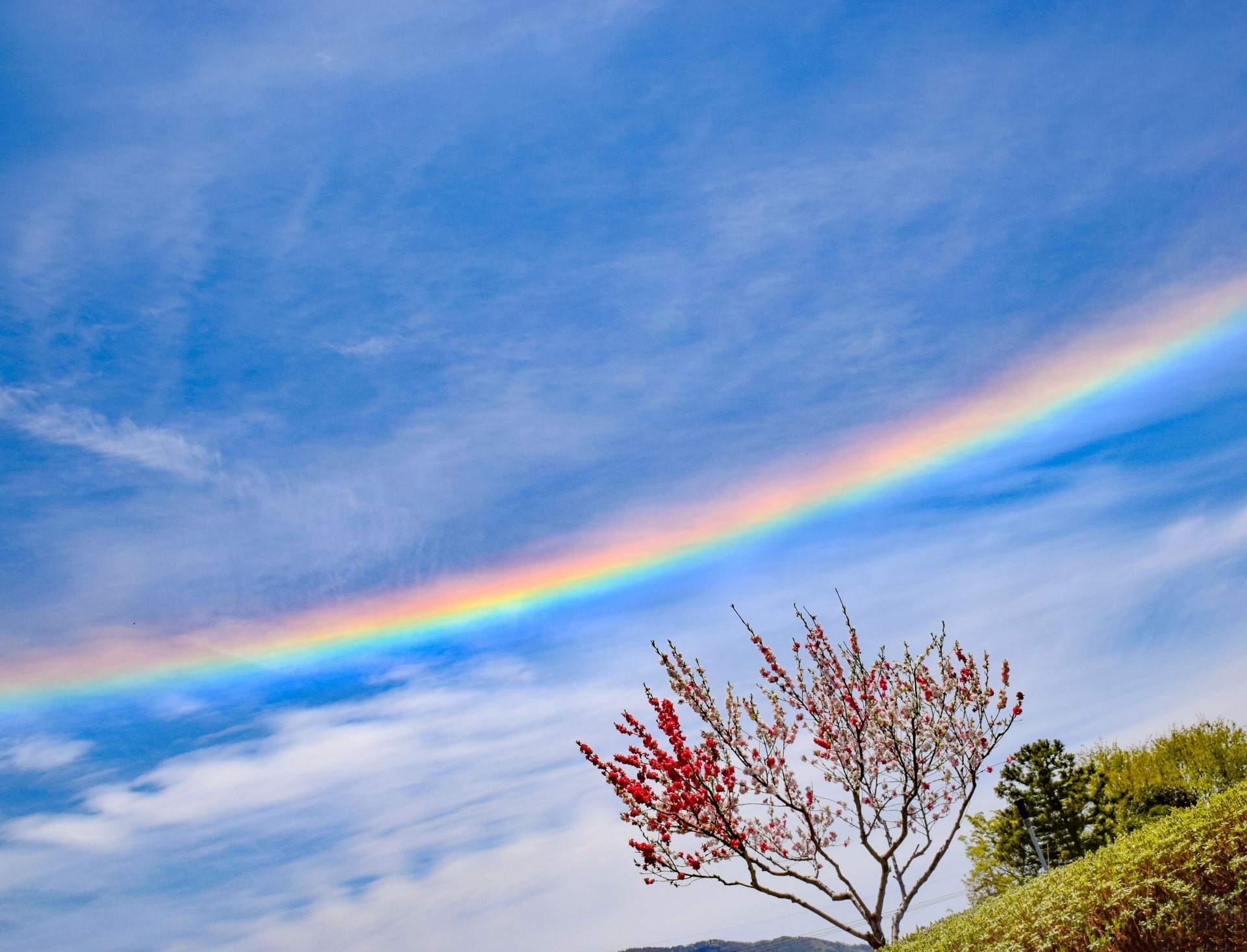 虹色の雲 環水平アーク が関東上空に出現 Snsで 自然現象って神秘的 綺麗すぎて怖い など反響続々 Image ねとらぼ調査隊