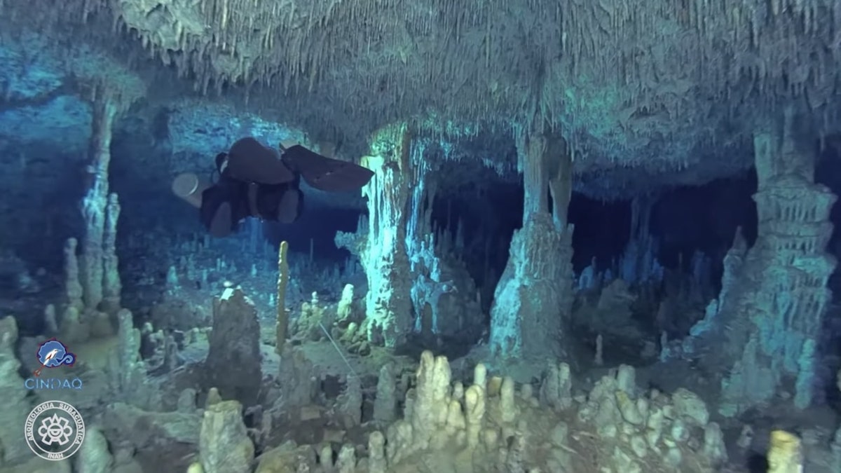 メキシコの水中洞窟に1万年前の人類の痕跡 見つけた人興奮しただろうなぁ 3dマップすごい などの声 1 2 ねとらぼ調査隊