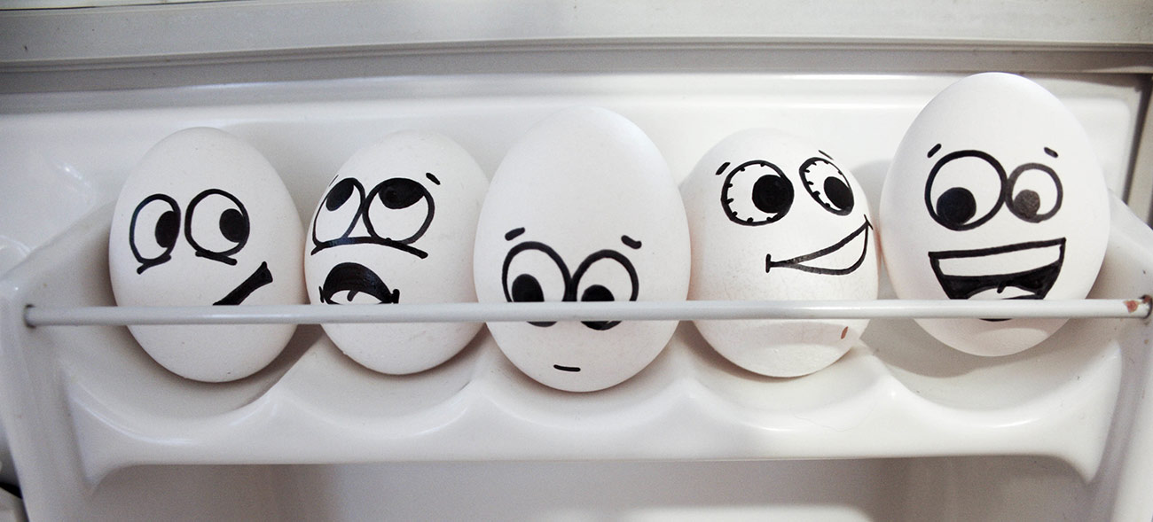 冷蔵庫のドアポケットに「生卵」を入れるのはNG？ | ライフ ねとらぼリサーチ