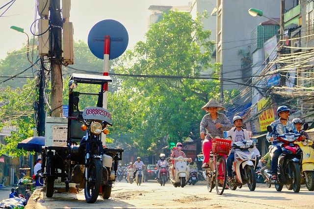 第14位：ベトナム（qiuyuanhagiによるPixabayからの画像）