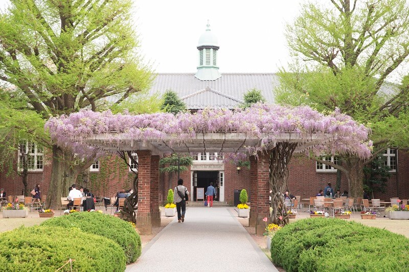 ある女子大講師関東の高校生が選んだ「キャンパスがきれいな大学」ランキングNo.1が決定！　2位の「青山学院大学」を抑えた1位は？【2020年調査