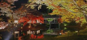 【京都】訪れたい秋の特別拝観を行っている寺社ランキングTOP14！　第1位は「高台寺」に決定！【2021年投票結果】