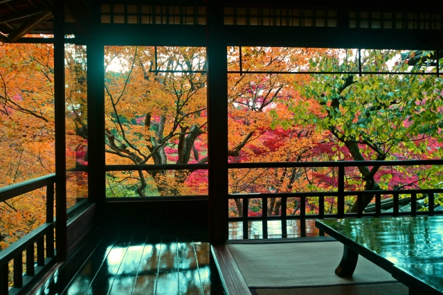 【京都観光】秋の特別拝観を行っている寺社で一番行きたいのは？【アンケート実施中】 | ねとらぼ調査隊