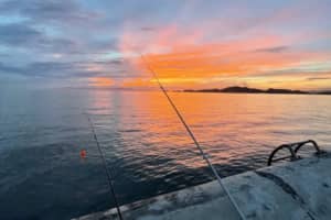 【海釣り】おすすめの都道府県ランキングTOP29！　第1位は「和歌山県」に決定！【2021年最新投票結果】