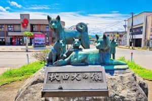 【秋田県】住みたいと思う街ランキングTOP25！　第1位は「大館市」に決定！【2022年最新投票結果】