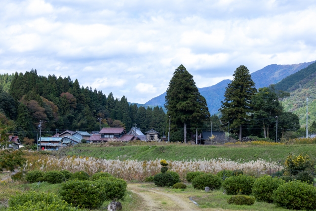 本巣市　根尾谷断層