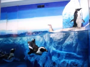「水族館」人気ランキングTOP30！　第1位は高知県の「桂浜水族館」！【2022年最新投票結果】
