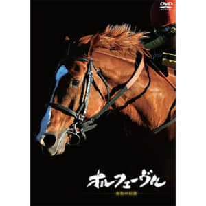 【競馬】好きな「歴代日本ダービー優勝馬」ランキングTOP30！　第1位は「オルフェーヴル」に決定！【2022年最新投票結果】