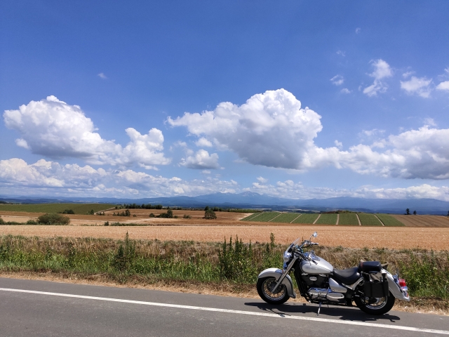 【バイク】この夏「ツーリング」に行きたい都道府県はどこ？【人気投票実施中】 | ねとらぼ調査隊