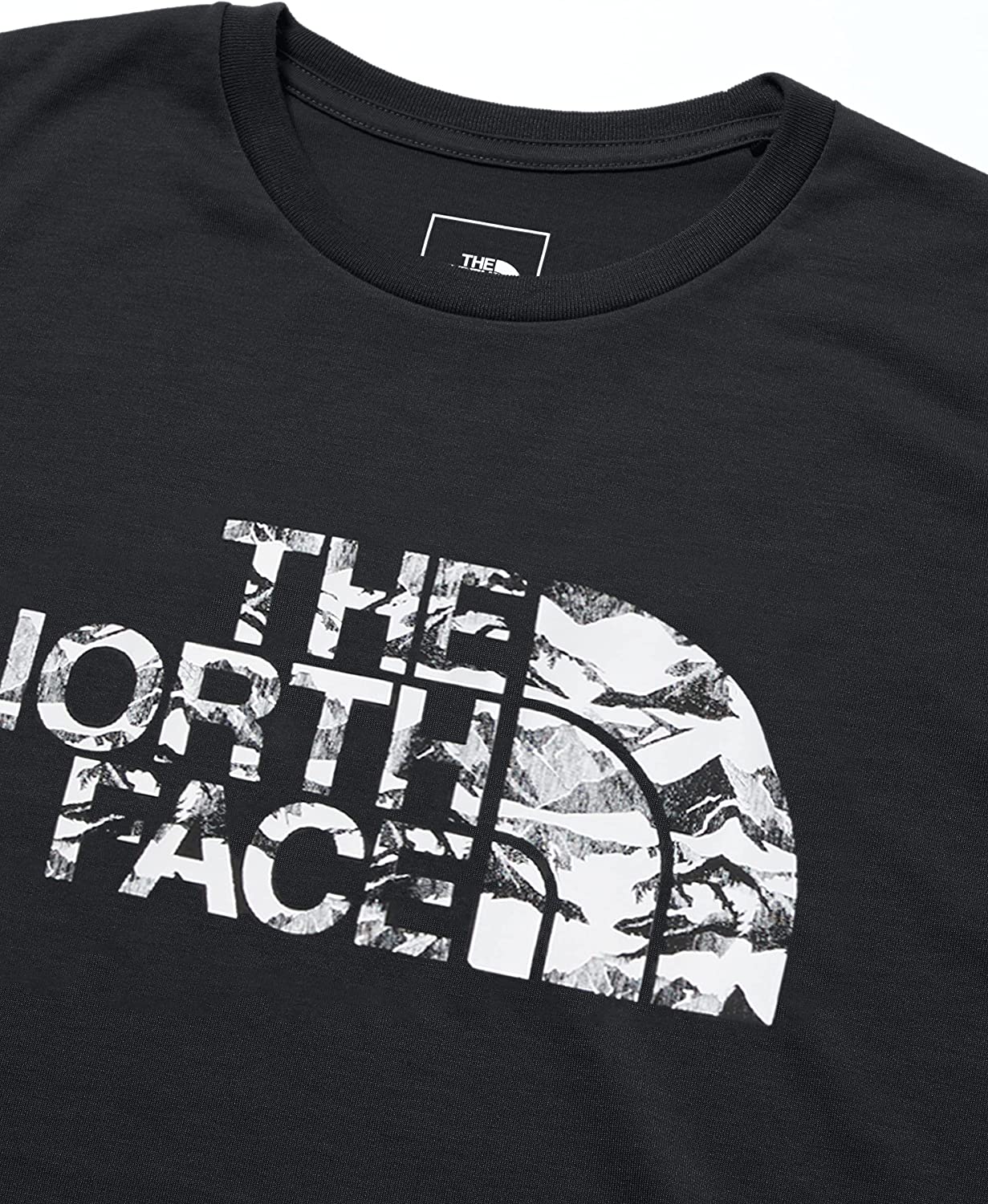 THE NORTH FACE（ザノースフェイス）のロゴTシャツ」おすすめ6選