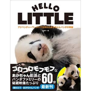 「関西地方の動物園」人気ランキングTOP10！　第1位は「アドベンチャーワールド」に決定！【2022年最新投票結果】