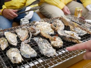「牡蠣」がおいしいと思う都道府県ランキングTOP18！　第1位は「広島県」【2022年最新投票結果】