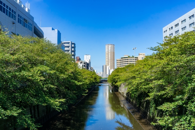 目黒川の風景（中目黒付近）